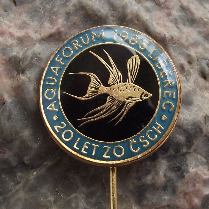 1986 Aquarium Tropical Fish Forum Czech Liberec Betta splendens Pin Badge - Badgecrazy