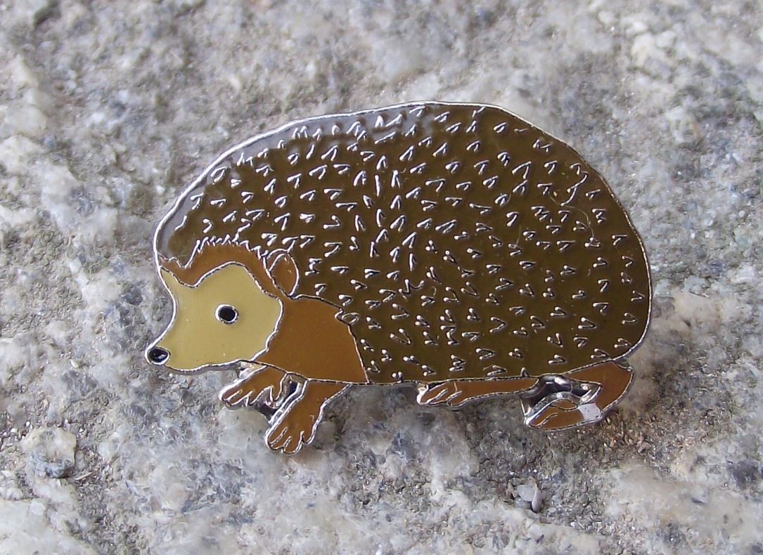 North American Hedgehog Spiny Spikey Woodland Mammal Wildlife Brooch Pin Badge - Badgecrazy