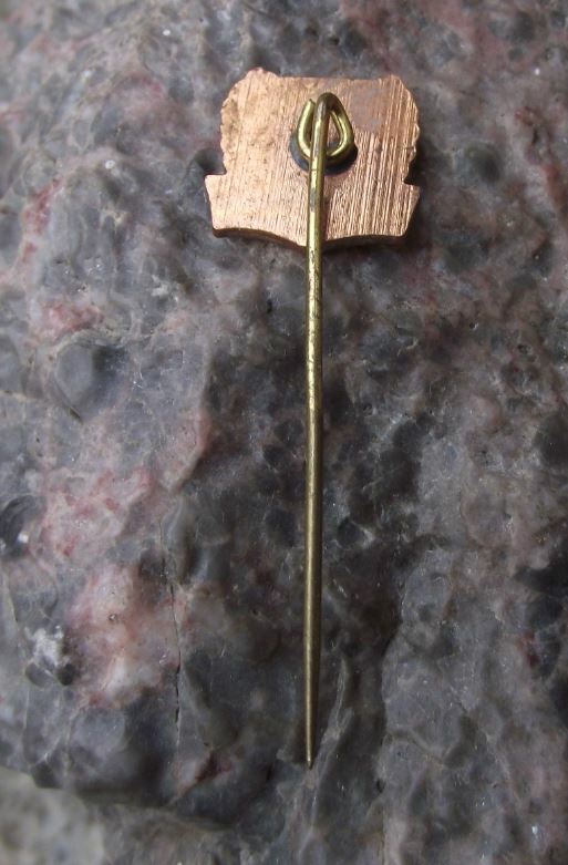 Antique Berlin FC Dynamo Sportclub D Football Soccer Fussball Shield Pin Badge - Badgecrazy