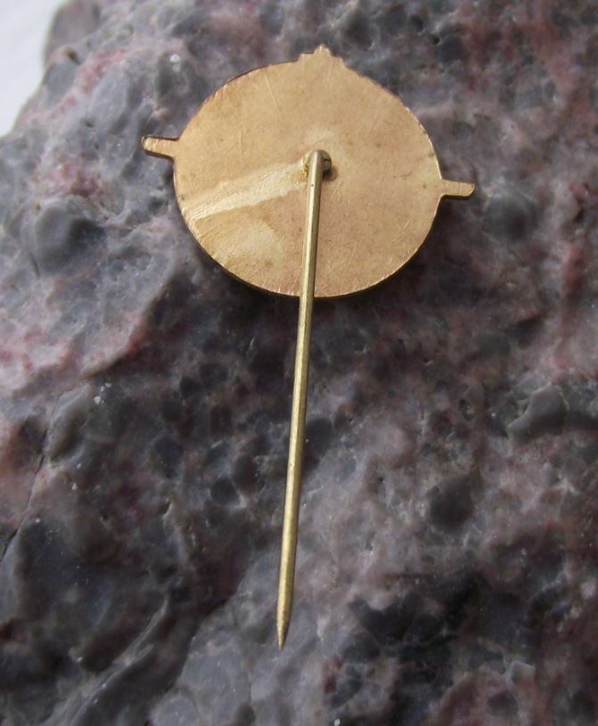 Vintage Czech Ministry of Defence Aircraft Repair Facility Malesice Pin Badge - Badgecrazy