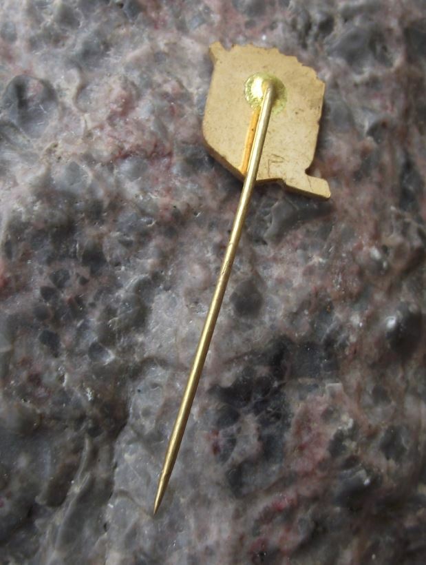 Vintage VTZ Chomutov Czech Ice Hockey Club Team Czechoslovakia Pin Badge