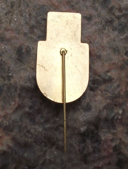 1988 Czechoslovakia Boxing Title Fight Usti nad Labem Glove Lion Pin Badge - Badgecrazy