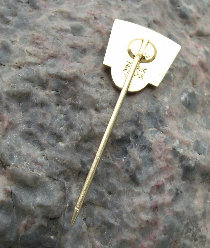 1965 International Dog Breeders Club Show Event Brno Pointer Breed Pin Badge - Badgecrazy