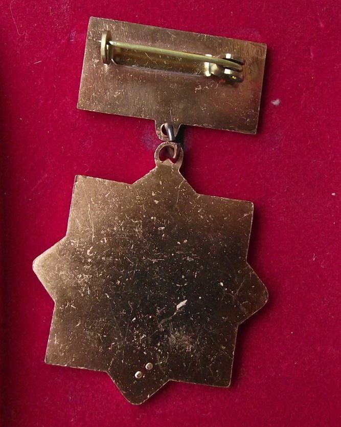 Vintage FDJ Excellent Performance For DDR East Germany Medal Award Pin Badge - Badgecrazy