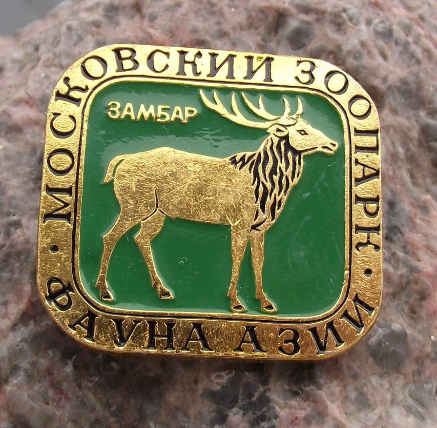 Vintage Moscow Zoopark Zoo Sambar Deer Soviet Union Russian Stag Pin Badge - Badgecrazy