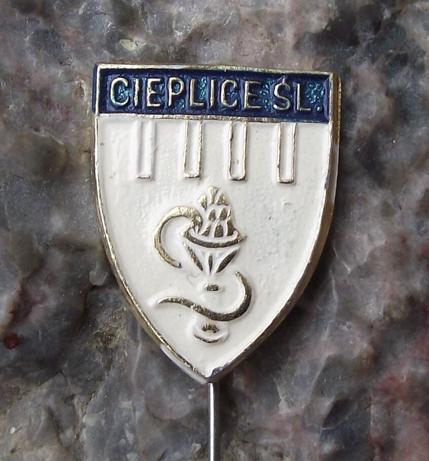 Vintage Cieplice Polish City Poland Heraldic Crest Coat of Arms Pin Badge - Badgecrazy
