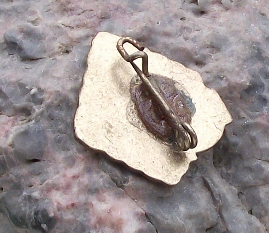 Vintage FDJ NAW Freie Deutsche Jugend East Germany Young Activist Pin Badge - Badgecrazy