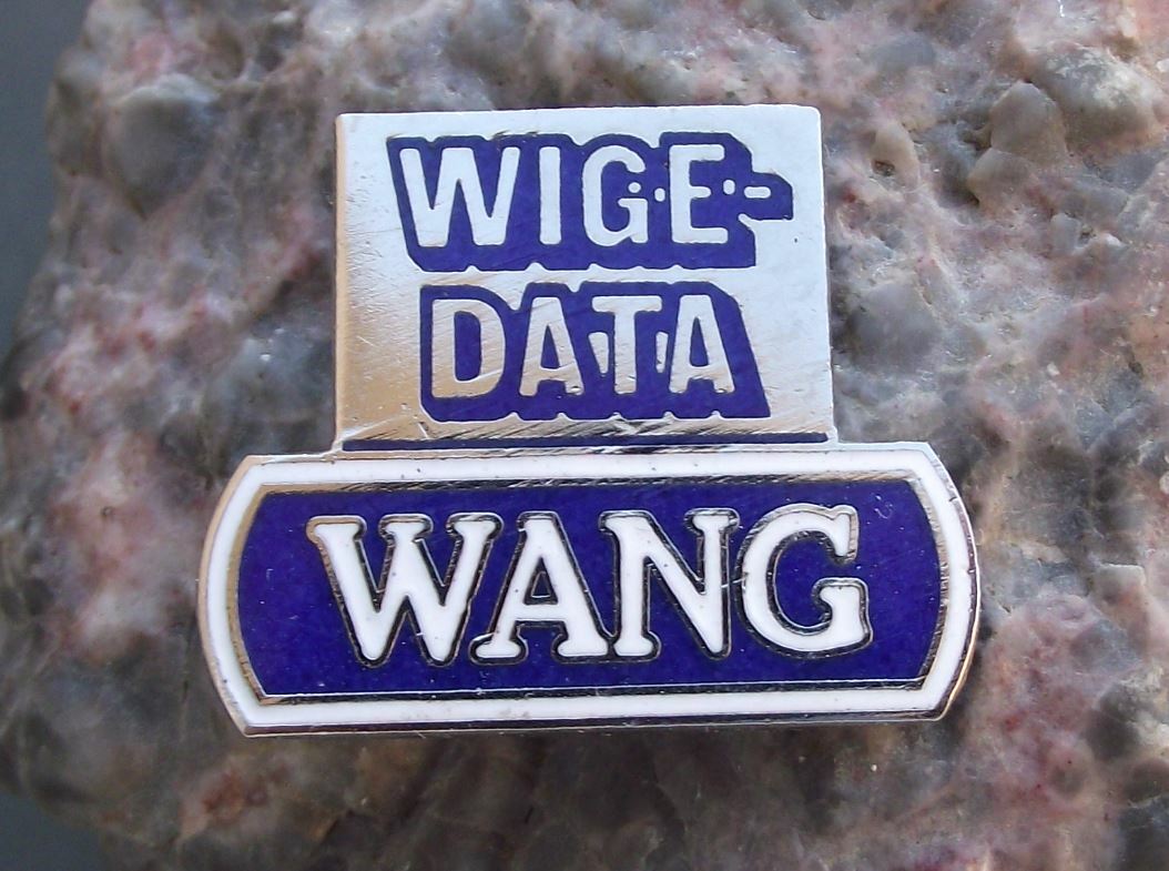 Rare Vintage WANG Pioneering Historic Computer USA Computing Company Pin Badge - Badgecrazy
