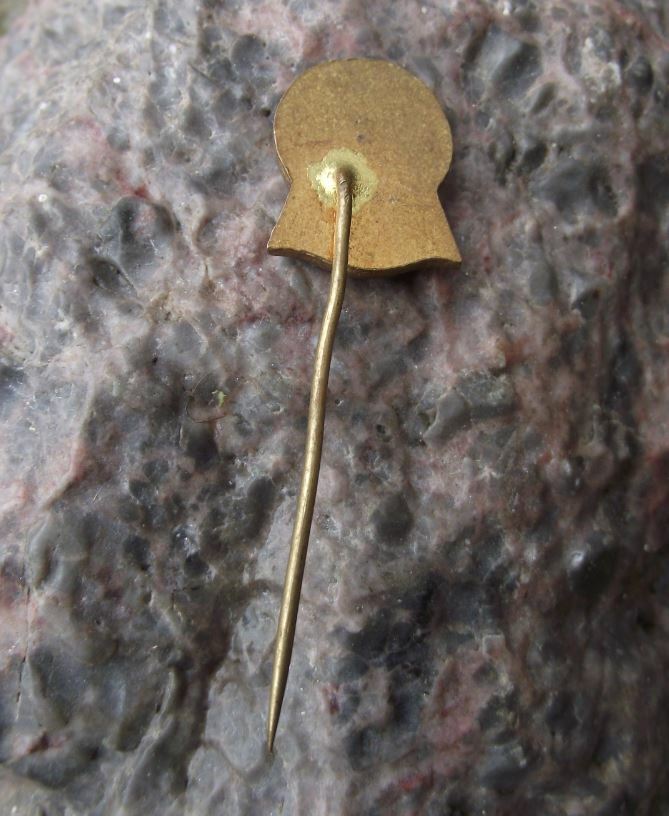 Vintage Czechoslovakia State Forestry Commision Bratislava Forest Pin Badge - Badgecrazy