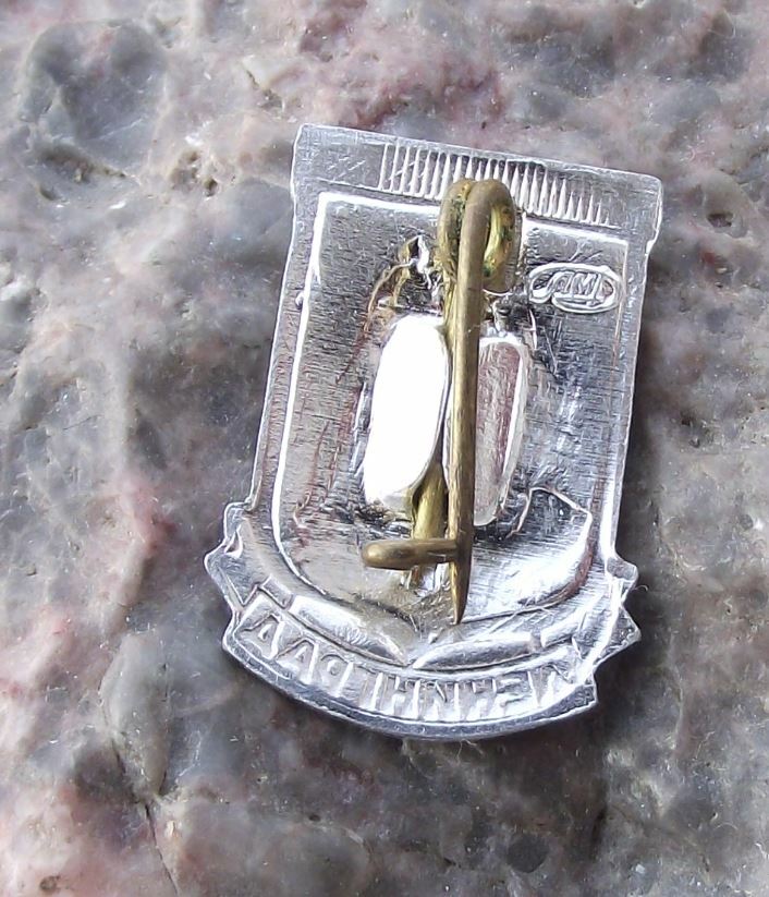Leningrad Saint Petersburg Peter the Great Horseback Statue Souvenier Pin Badge - Badgecrazy