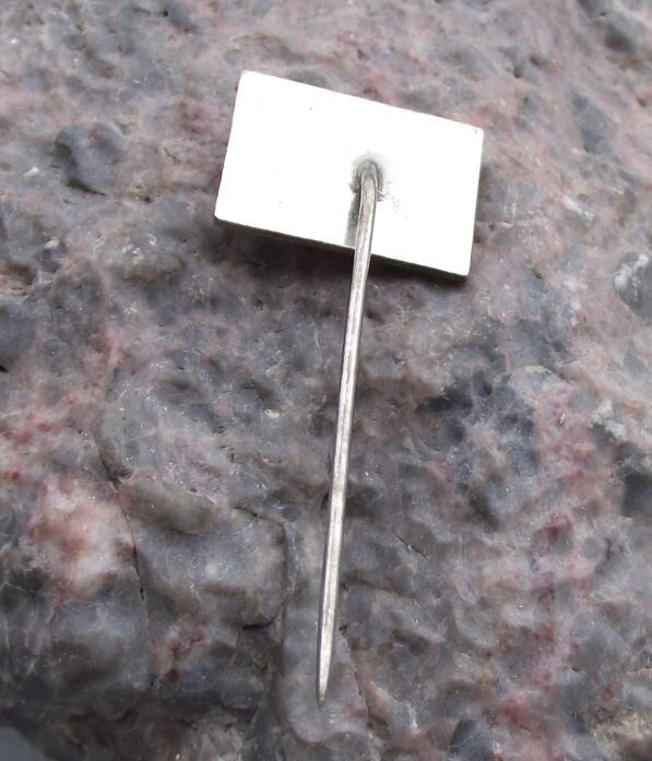 Vintage Czech Union Association of Ice Skaters and Figure Skating Flag Pin Badge - Badgecrazy