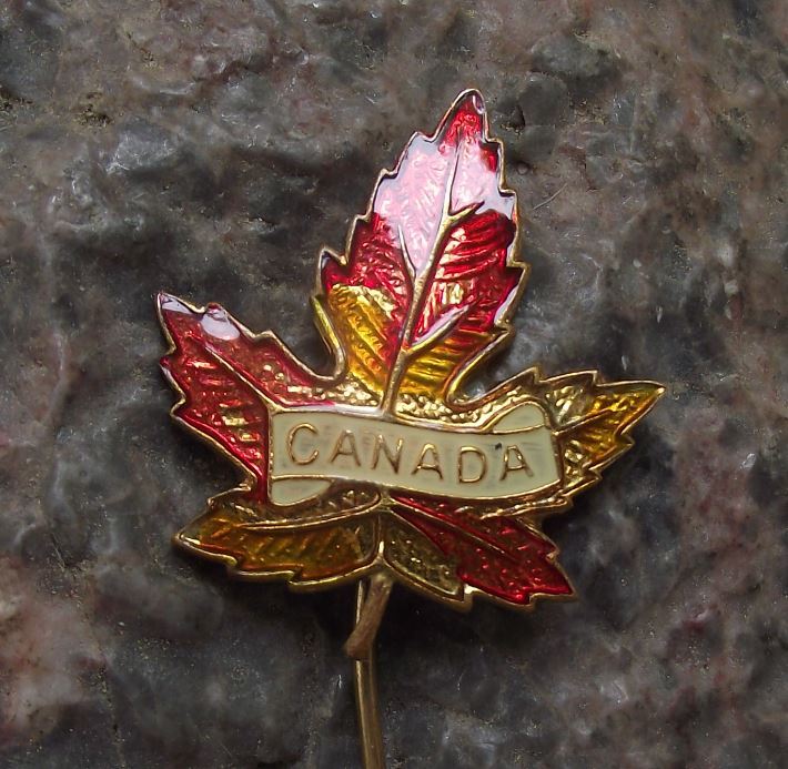Antique Canada Maple Leaf Autumn Colours Fall Canadian National Emblem Pin Badge - Badgecrazy
