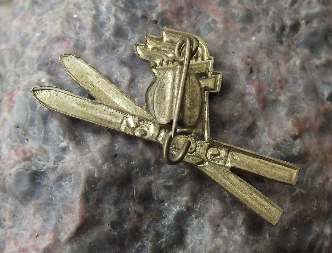1961 Thalmann Pioneer Organisation Youth Group Winter Ski Skiing Award Pin Badge - Badgecrazy