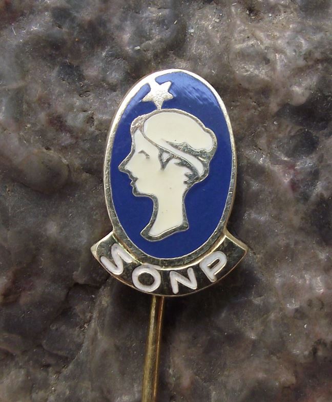 Antique Roman Greek Elegant Woman Lady Goddess Bust Cameo Poldi SONP Pin Badge - Badgecrazy