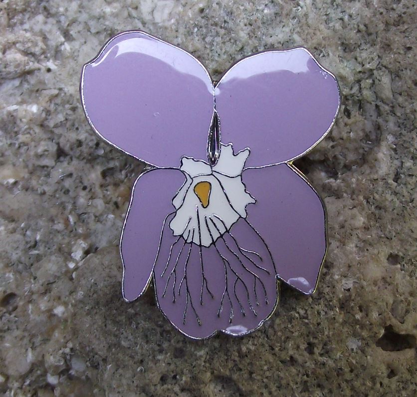 Beautiful Hairy Violet Purple Wild Flower Pink Bloom Brooch Pin Badge - Badgecrazy