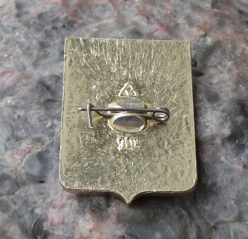 Vintage Murom City Soviet Union Tourist Coat of Arms Heraldic Crest Pin Badge - Badgecrazy