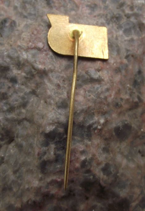Official Czechoslovakia Czech Boxing Association National Flag Glove Pin Badge - Badgecrazy