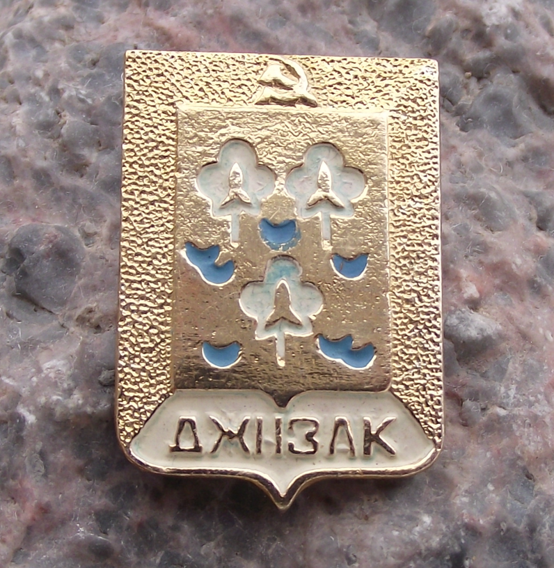 Vintage Jizzakh Dzhizak Uzbekistan Coat of Arms Heraldic Crest Cotton Pin Badge - Badgecrazy