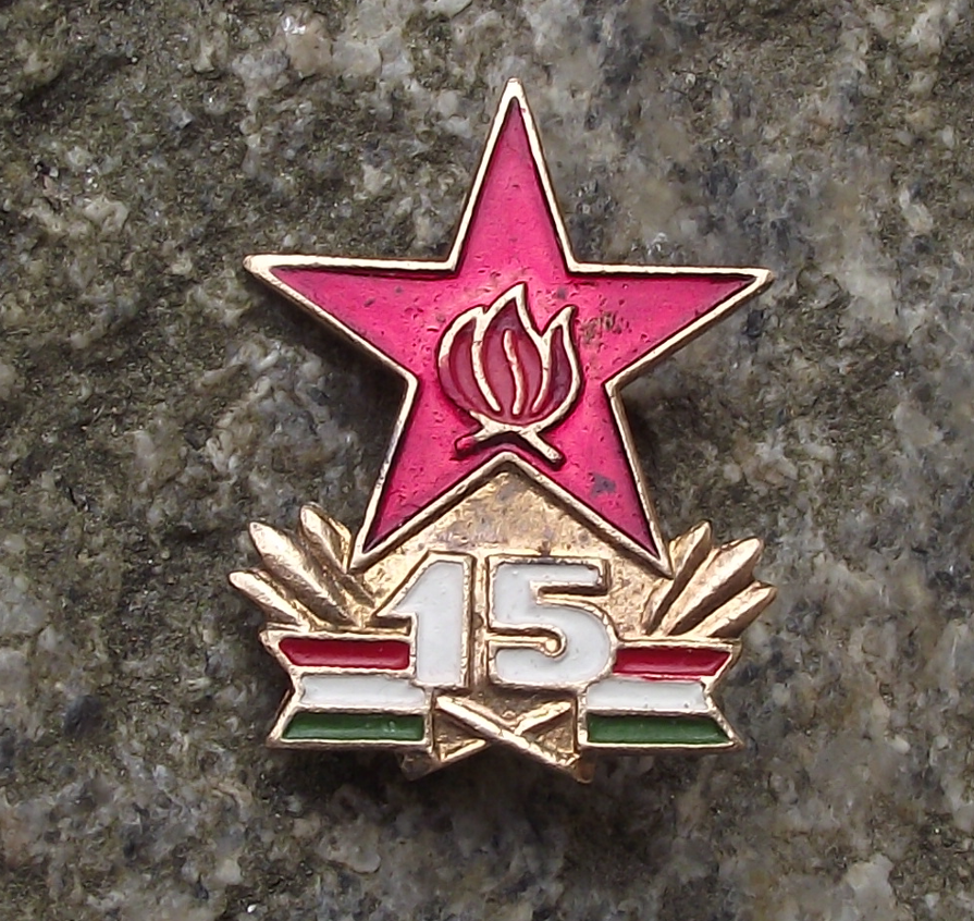 1960 Hungary Young Pioneer Movement 15th Anniversary Star National Pin Badge - Badgecrazy