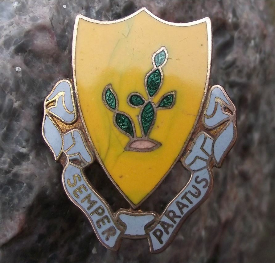Vintage US Army 12th Cavalry Regiment Semper Paratus DUI Clutchback Pin Badge