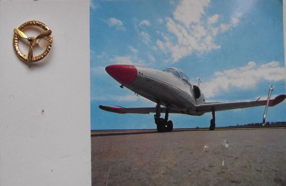 Antique Aero Albatros L 39 Jet Trainer Czech Combat Aircraft Photo & Pin Badge - Badgecrazy