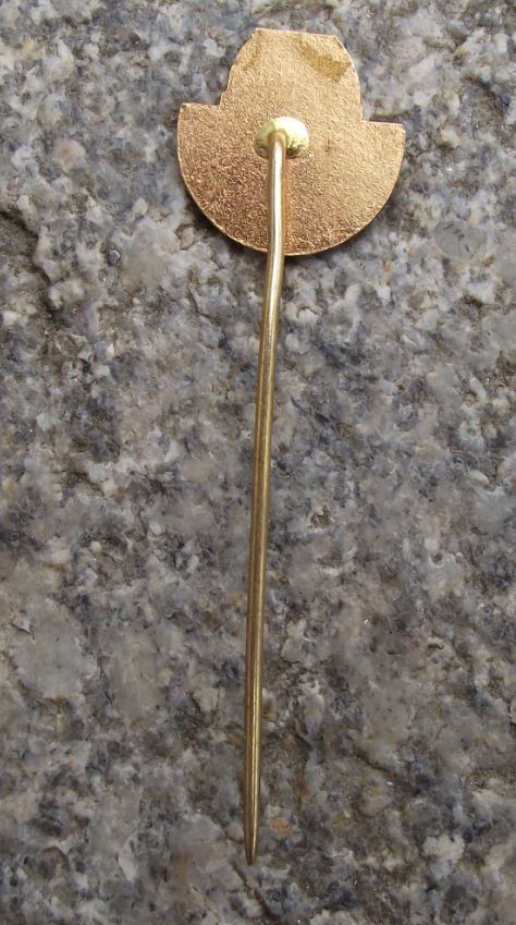 Antique Czechoslovakia Peoples Planetarium Science Education Astronomy Pin Badge - Badgecrazy
