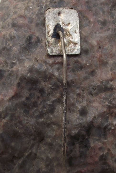1950s Schloss Frauenberg Hluboka Princess Fairytale Castle Tourist Pin Badge