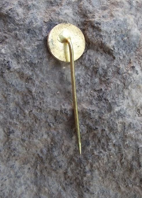 Vintage Karlovy Vary Karslbad Carlsbad Spa Heraldic Crest Coat of Arms Pin Badge - Badgecrazy