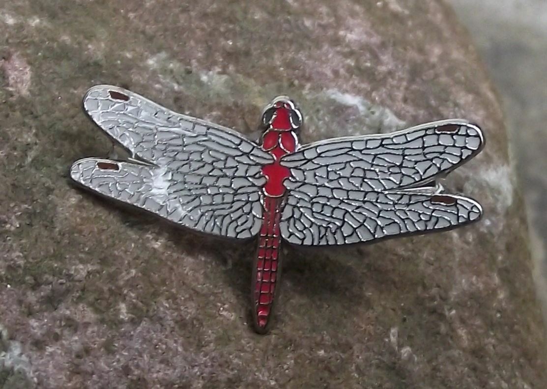 Red Veined Darter Dragonfly Damselfly Prehistoric Flying Insect Brooch Pin Badge - Badgecrazy