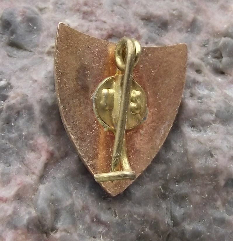 Antique CS Minaur FC Baia Mare Romania Soccer Football Club Crest Pin Badge - Badgecrazy
