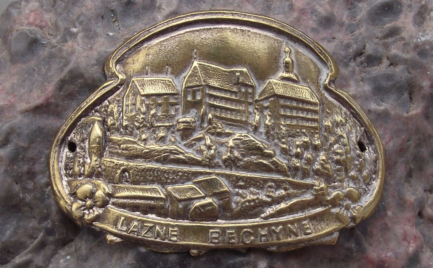 Antique Lazne Bechyne Czech Spa Town Walking Stick Shield Tourist Stocknagel - Badgecrazy