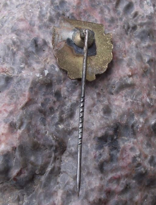 Vintage Papierfabrik Schwedt German Paper Making Factory Company Pin Badge - Badgecrazy