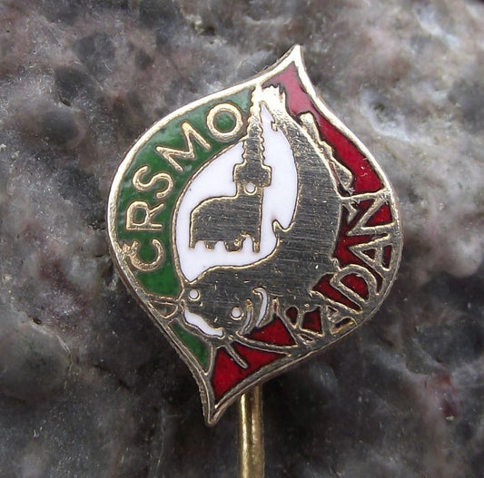 Antique Kadan Fishing Angling Association Catfish Fish Members CSRS Pin Badge - Badgecrazy