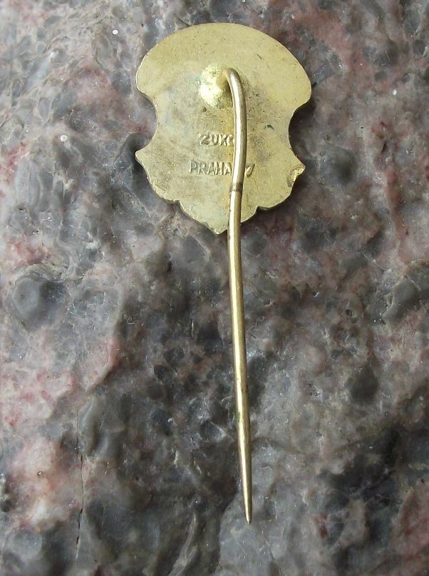 Vintage Zlutice Czechoslovakia Coat of Arms Heraldic Crest Pin Badge - Badgecrazy