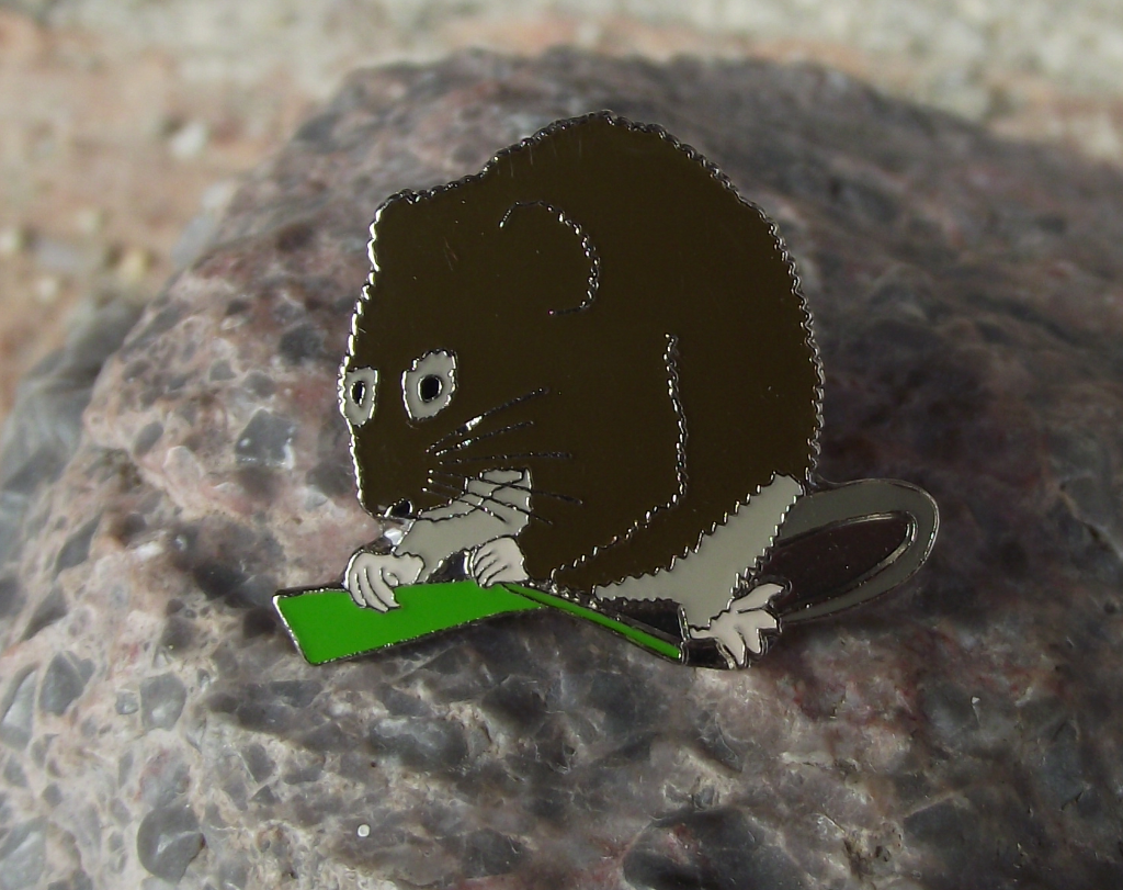 European Water Vole Semi Aquatic Mouse Common Wild Mice Rodent Pin Badge - Badgecrazy