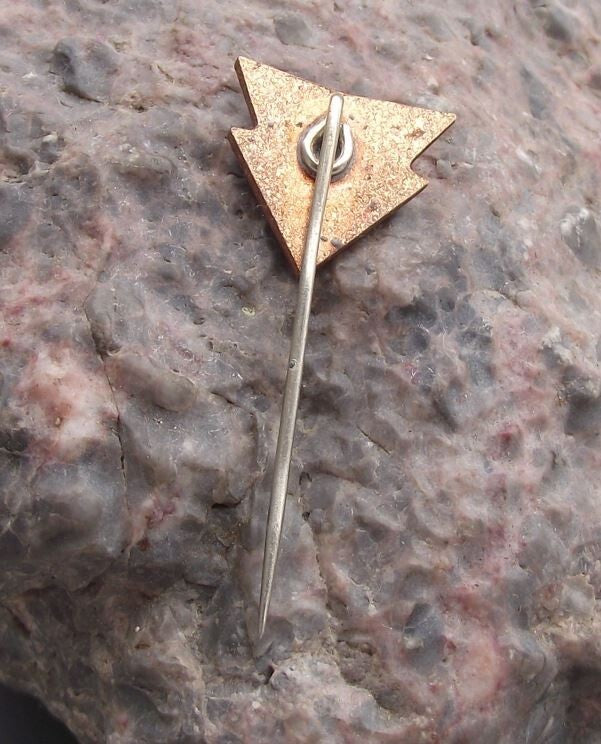 Vintage DSS East Germany DDR GDR German Swimming Association Pin Badge - Badgecrazy