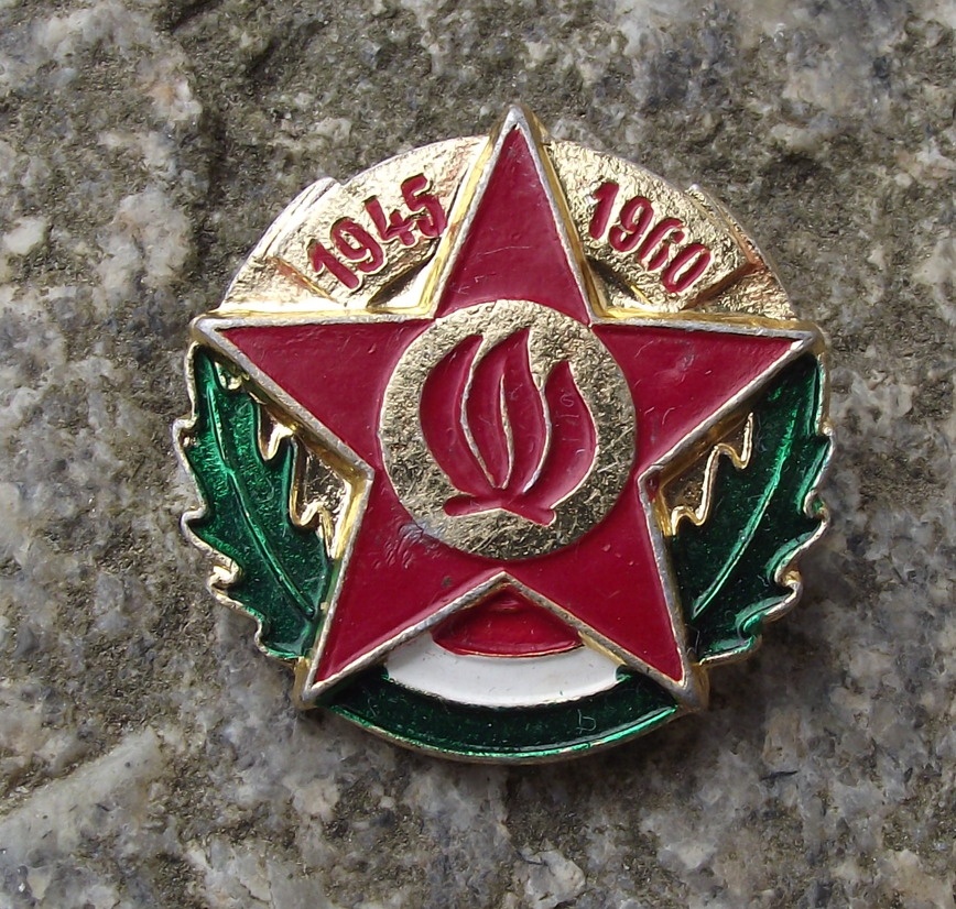 1960 Hungary Hungarian Young Pioneer Movement 15th Anniversary Star Pin Badge - Badgecrazy