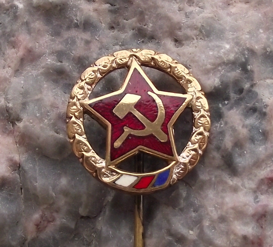 Vintage Communist Party KSC Czechoslovakia Slovak National Flag Pin Badge