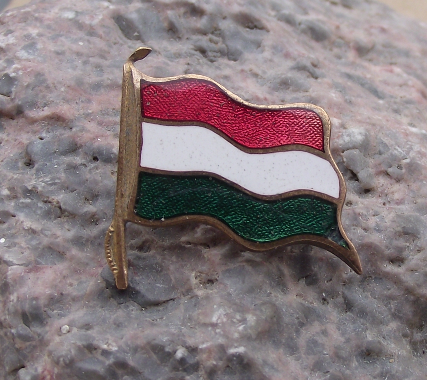 Vintage Hungarian Hungary Magyar National Flag Triband Clasp Pin Badge