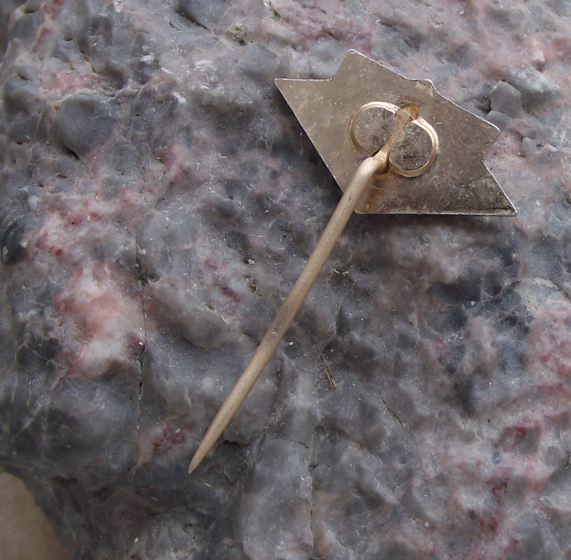 Vintage Terezin Nazi Concentration Camp Gates Laurel Leaves Pin Badge