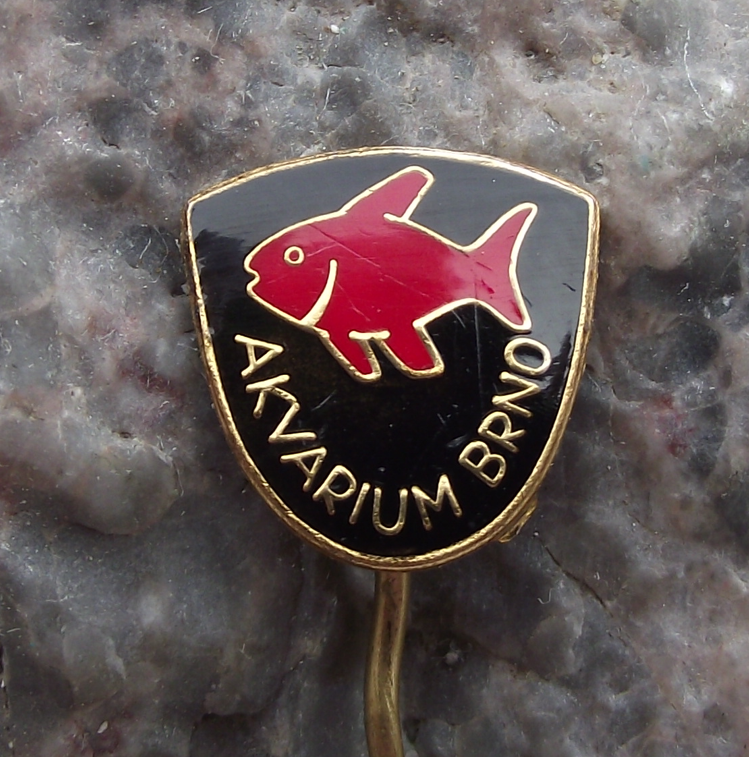 Vintage Aquarium Brno Tetra Tropical Fish Pin Badge