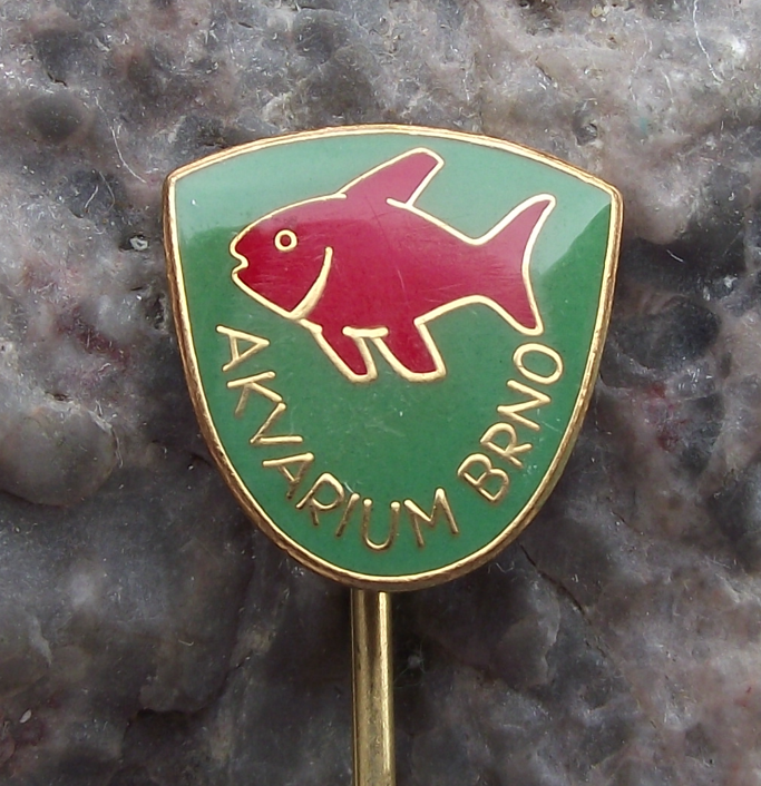 Vintage Aquarium Brno Tetra Tropical Fish Pin Badge