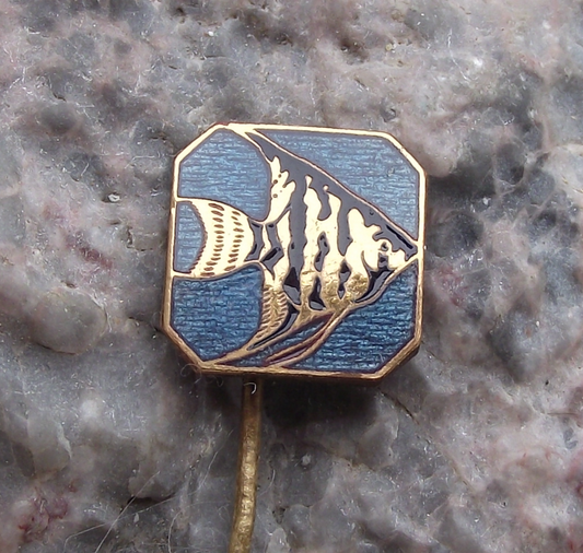 Vintage Angelfish Pterophyllum Aquarium Tropical Fish Keepers Club Pin Badge