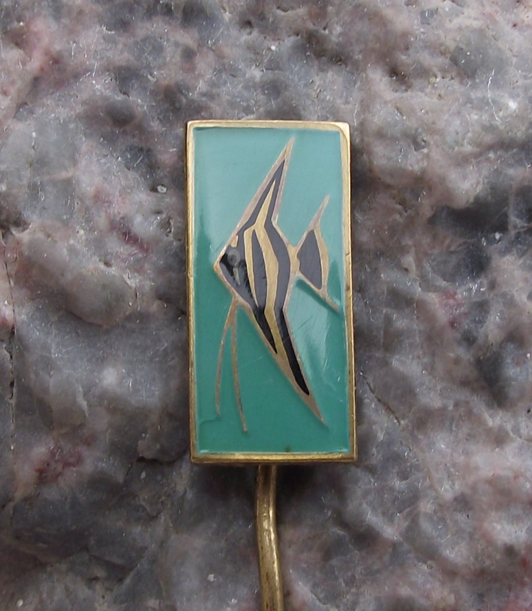 Vintage Angelfish Pterophyllum Aquarium Tropical Fish Keeping Club Pin Badge