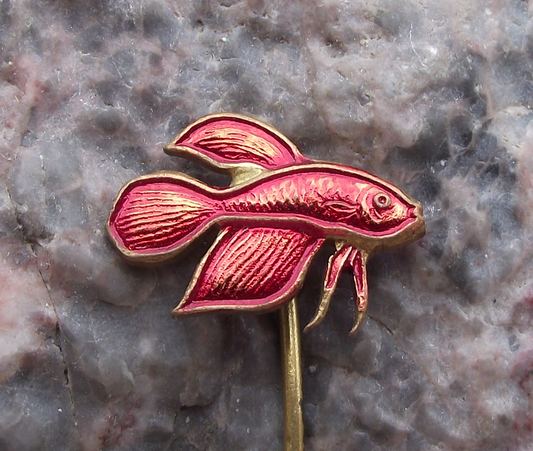 Vintage Betta Splendens Siamese Fighting Fish Tropical Aquarium Club Pin Badge