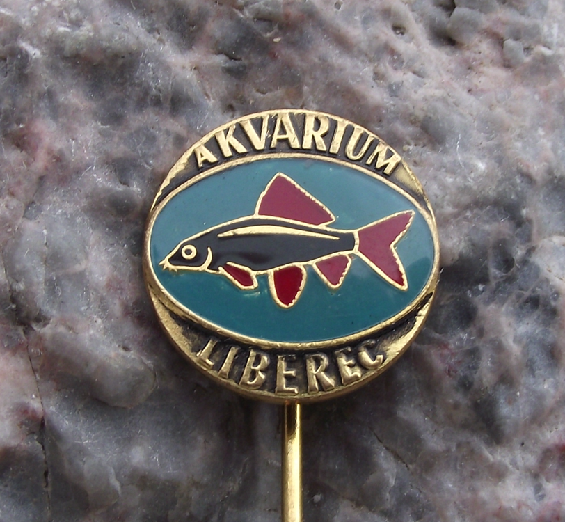 Vintage Labeo bicolor Shark Aquarium Tropical Fish Club Liberec Pin Badge