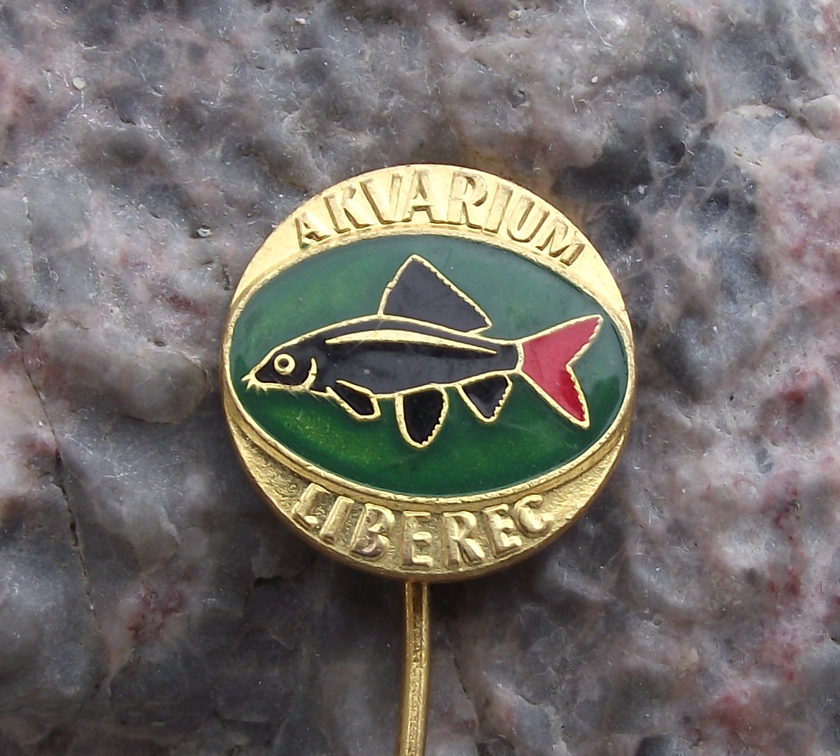 Vintage Labeo bicolor Shark Aquarium Tropical Fish Club Liberec Pin Badge