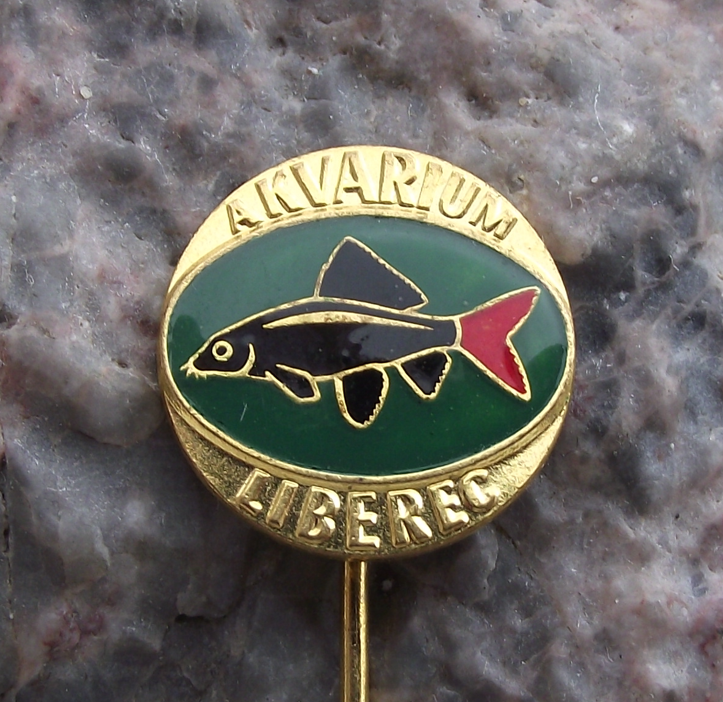 Vintage Labeo bicolor Shark Aquarium Tropical Fish Club Liberec Pin Badge