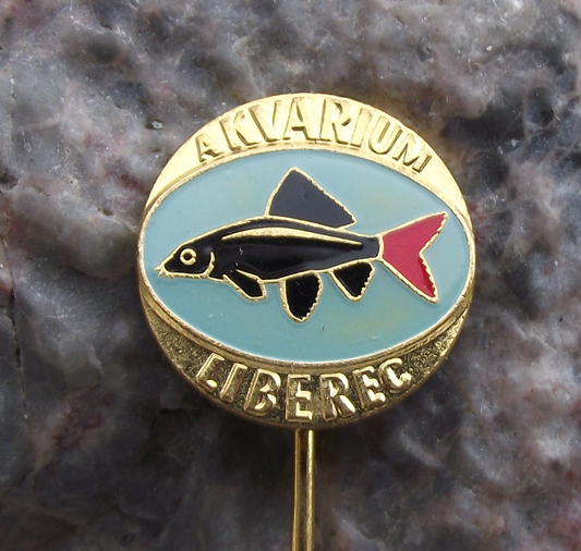 Vintage Labeo bicolor Shark Aquarium Tropical Fish Club Liberec Pin Badge