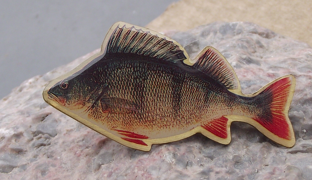 Vintage Perch Fishing River Fish Brooch Pin Badge